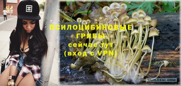 каннабис Осташков