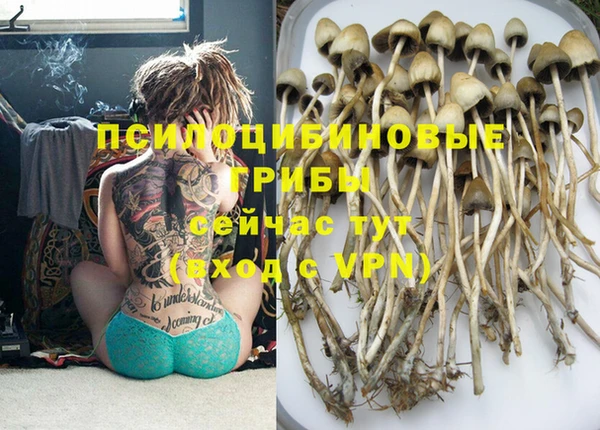 ешки Няндома