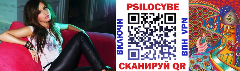 Псилоцибиновые грибы GOLDEN TEACHER  МЕГА tor  Фокино 