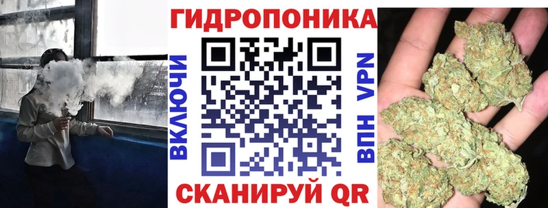 Шишки марихуана VHQ  где найти наркотики  Фокино 